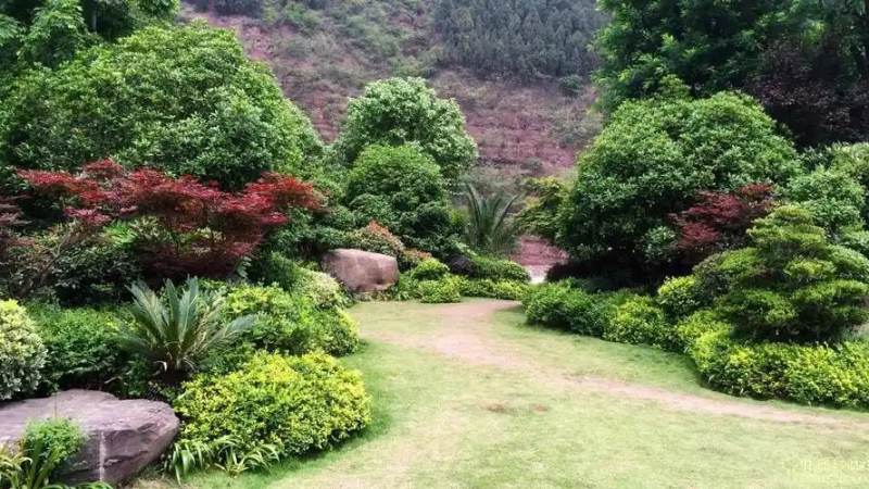 广东麻将鸡平胡玩法规则与番型拆解全解析